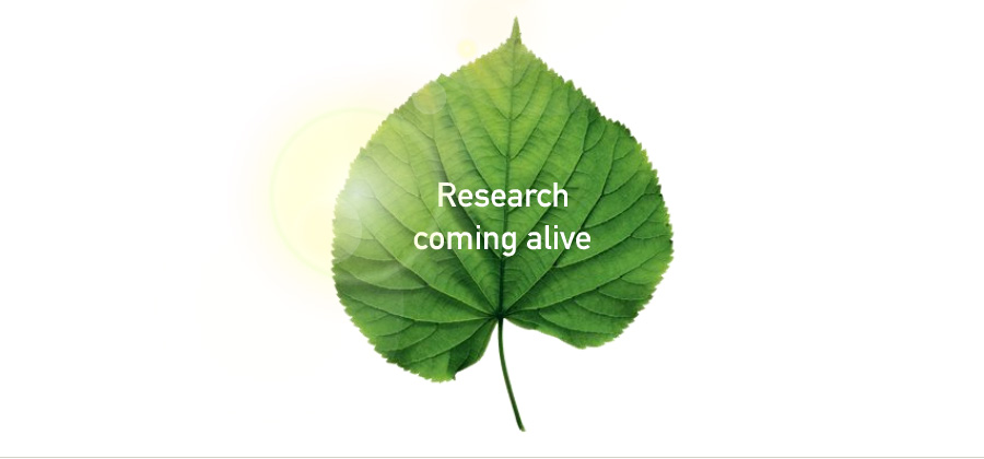 Leaf with sun in background. Text on leaf reads Research comin alive